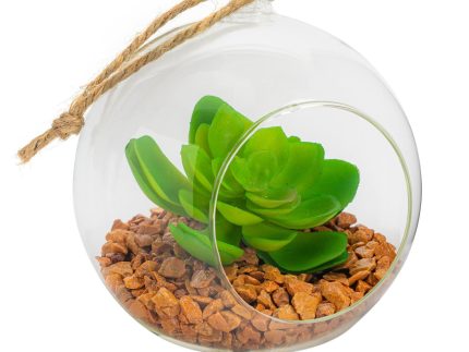 12cm Hanging Glass Succulent Terrarium