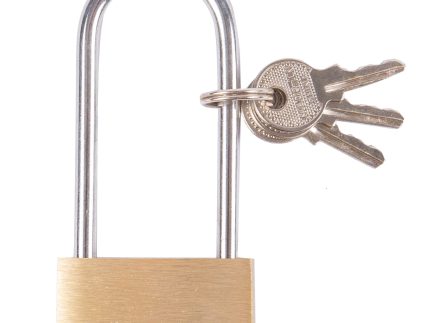 4cm Brass Long Shackle Padlock